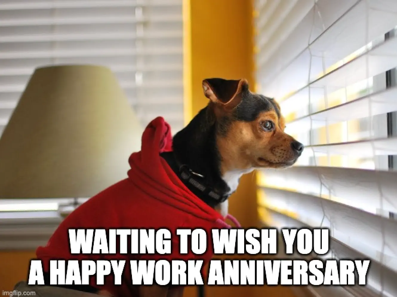 funny work anniversary meme