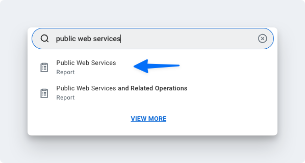 public web services report